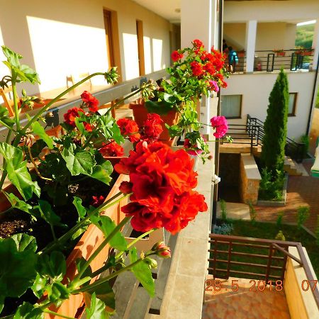 Pension Laura Cheile Turzii Petreştii de Jos Dış mekan fotoğraf