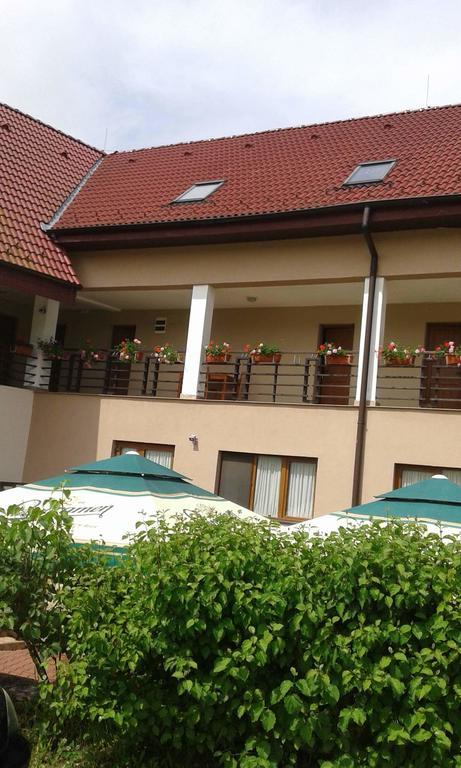 Pension Laura Cheile Turzii Petreştii de Jos Dış mekan fotoğraf