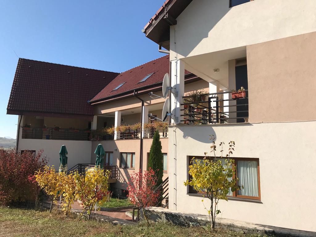 Pension Laura Cheile Turzii Petreştii de Jos Dış mekan fotoğraf