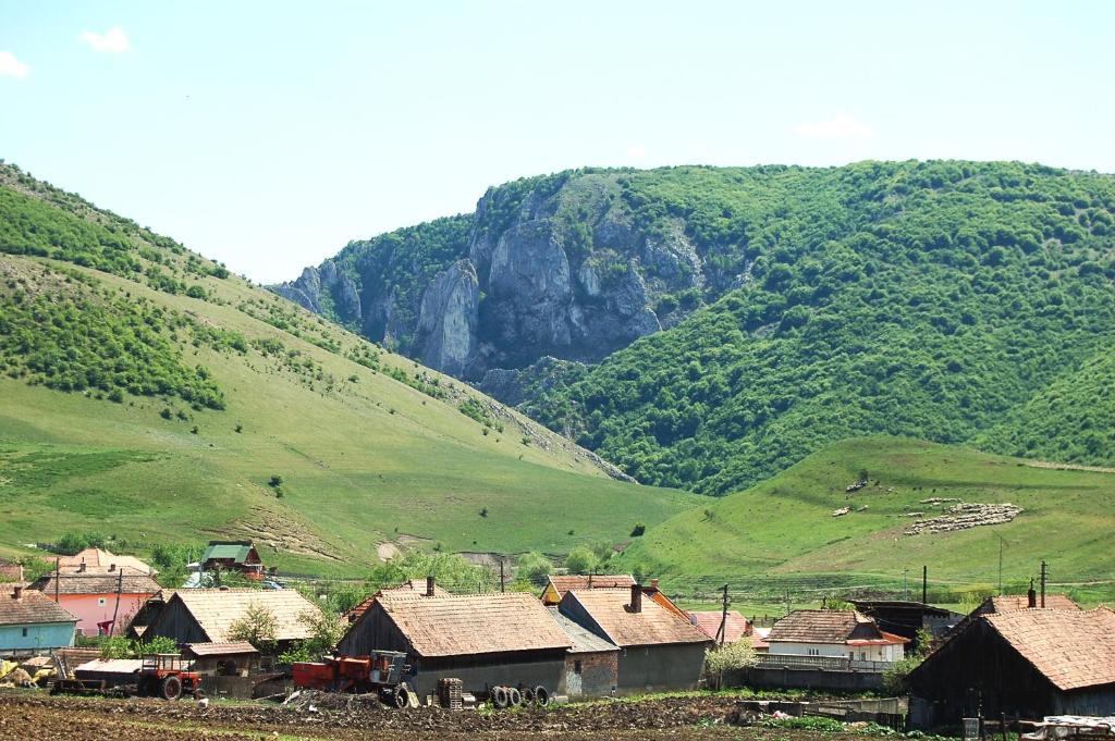 Pension Laura Cheile Turzii Petreştii de Jos Dış mekan fotoğraf
