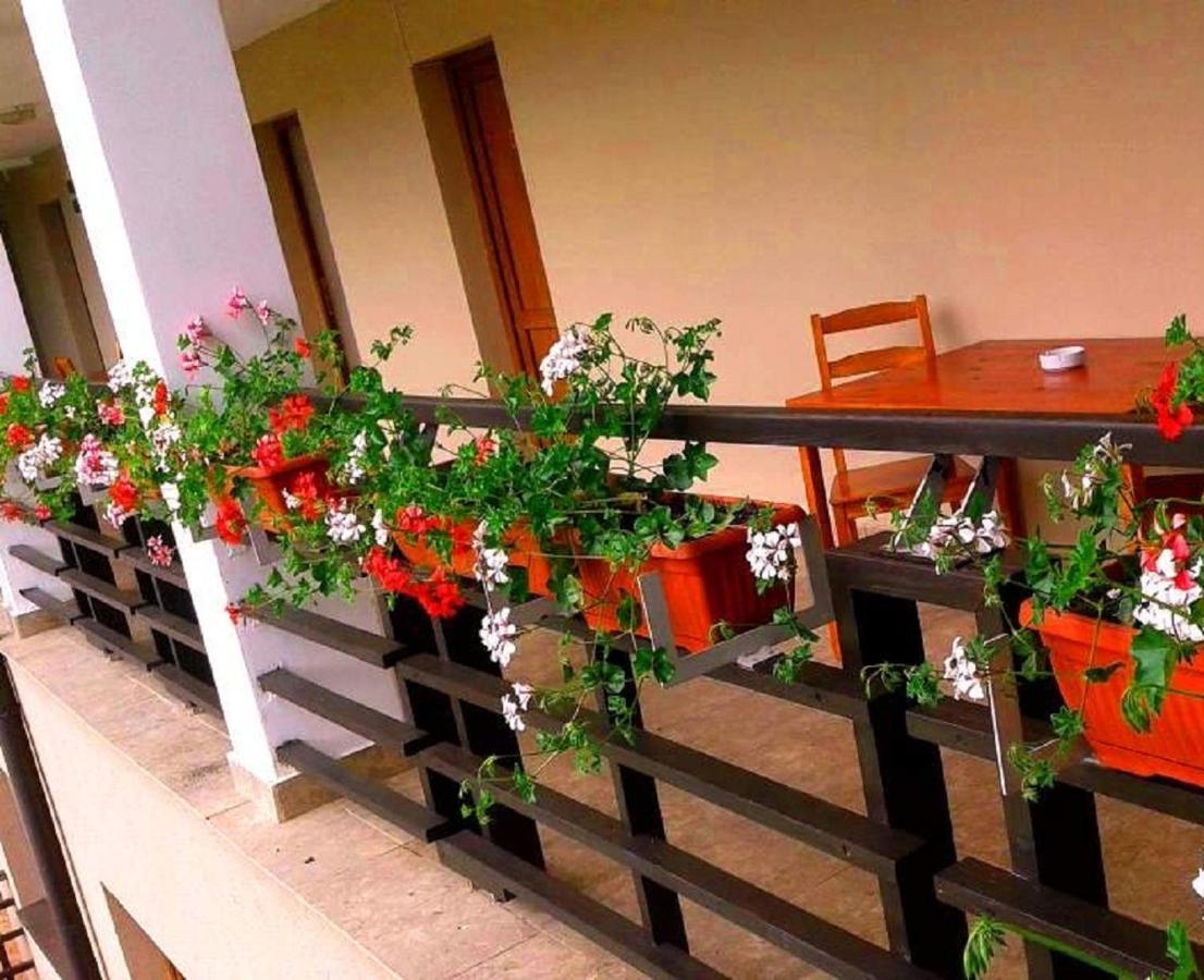 Pension Laura Cheile Turzii Petreştii de Jos Oda fotoğraf